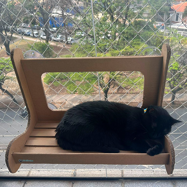catview06