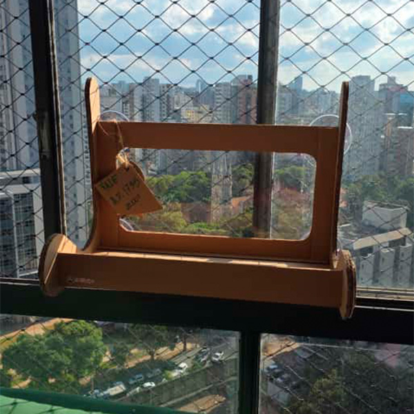 catview07