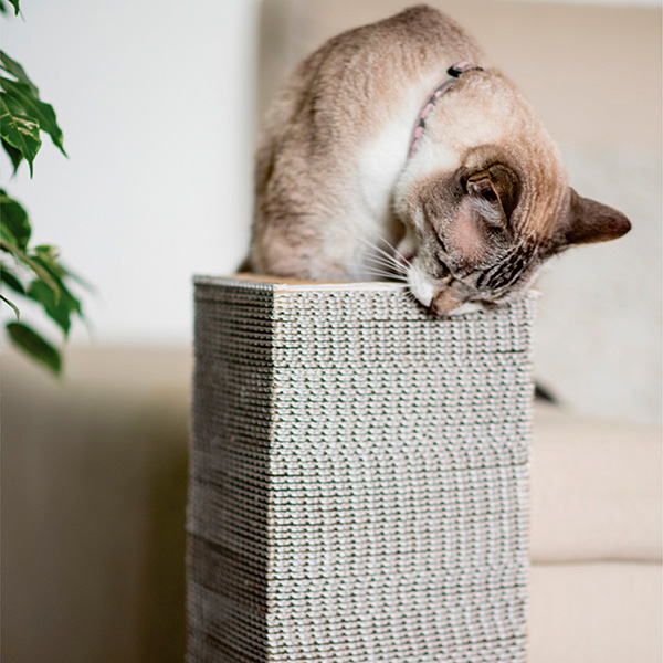 salva_cama_sofa_03