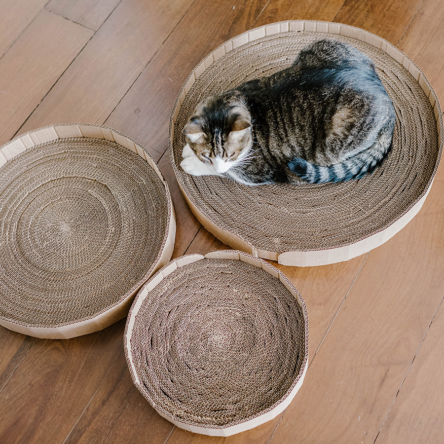 kit_arranhador_vitoria